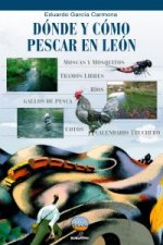 Dónde y cómo pescar en León : cotos, zonas libres, moscas, mosquitos y otras historias de pesca