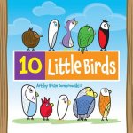 10 LITTLE BIRDS