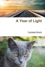 Year of Light