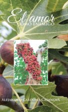 Amor Como Enemigo