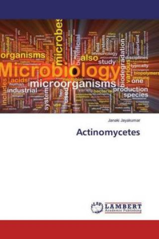 Actinomycetes