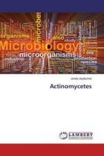Actinomycetes