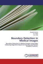 Boundary Detection in Medical Images