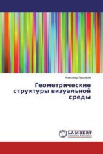 Geometricheskie struktury vizual'noj sredy