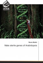 Male sterile genes of Arabidopsis