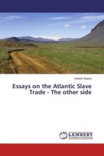 Essays on the Atlantic Slave Trade - The other side