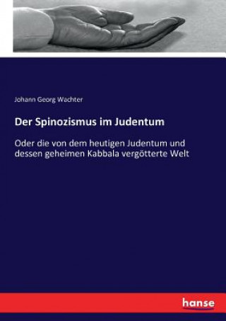Spinozismus im Judentum