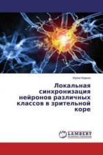 Lokal'naya sinhronizaciya nejronov razlichnyh klassov v zritel'noj kore