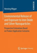 Environmental Release of and Exposure to Iron Oxide and Silver Nanoparticles