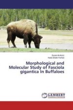 Morphological and Molecular Study of Fasciola gigantica In Buffaloes
