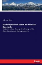 Makrokephalen im Boden der Krim und OEsterreichs