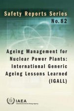Ageing management for nuclear power plants