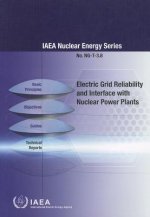 Electric grid reliability and interface with nuclear power plants