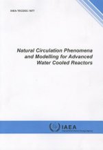Natural circulation phenomena and modelling for advanced water cooled reactors