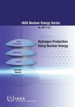 Hydrogen production using nuclear energy