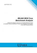 BN-600 MOX Core Benchmark Analysis