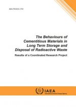 Behaviours of Cementitious Materials in Long Term Storage and Disposal of Radioactive Waste