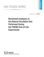Benchmark analyses on the natural circulation test performed during the PHENIX end-of-life experiments