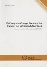 Pathways to energy from inertial fusion
