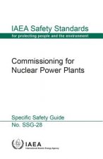 Commissioning for nuclear power plants