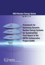 Framework for assessing dynamic nuclear energy systems for sustainability