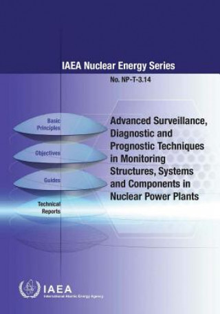 Advanced surveillance, diagnostic and prognostic techniques in monitoring structures, systems and components in nuclear power plants