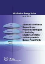 Advanced surveillance, diagnostic and prognostic techniques in monitoring structures, systems and components in nuclear power plants