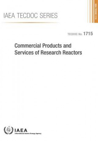Commercial products and services of research reactors