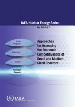Approaches for assessing the economic competitiveness of small and medium sized reactors