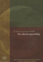 More Secure World, A