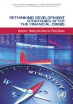 Rethinking development strategies after the financial crisis