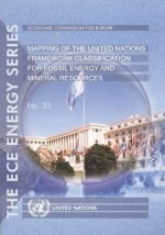 Mapping of the United Nations Framework Classification for Fossil Energy and Mineral Resources (Report of the Unece Task Force on Mapping)
