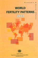 World Fertility Patterns 2013 (Wall Chart)