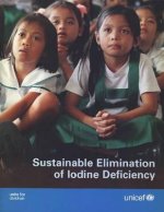 Sustainable Elimination of Iodine Deficiency: Progress Since the 1990 World Summit for Children