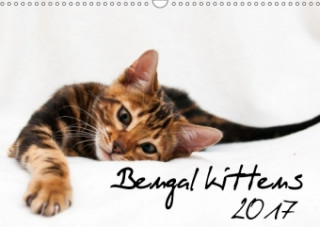 Bengal kittens 2017 (Wall Calendar 2017 DIN A3 Landscape)