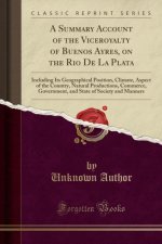 A Summary Account of the Viceroyalty of Buenos Ayres, on the Rio De La Plata