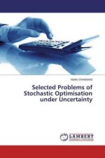 Selected Problems of Stochastic Optimisation under Uncertainty