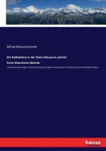Kalkulation in der Eisen-Giesserei und bei Form-Maschinen-Betrieb