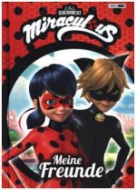 Miraculous Freundebuch: Meine Freunde