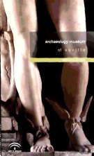 Archaeology Museum of Seville : official guide
