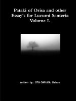 Pataki of Orisa and Other Essay's for Lucumi Santeria