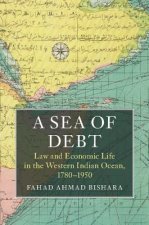 Sea of Debt