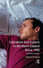 Literature and Culture in Northern Ireland Since 1965