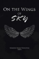 On the Wings of Sky