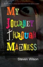 My Journey Through Madness