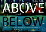 Above and Below