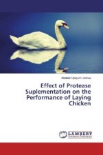 Effect of Protease Suplementation on the Performance of Laying Chicken