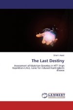 The Last Destiny