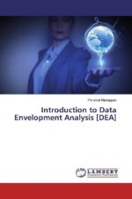 Introduction to Data Envelopment Analysis [DEA]
