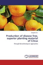 Production of disease free, superior planting material of Citrus